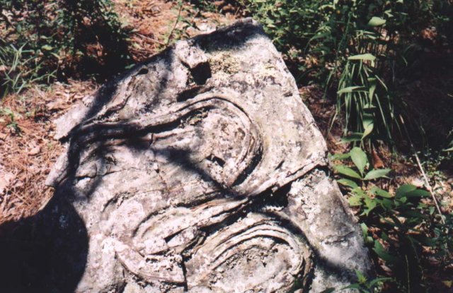 CellsbFortressII
