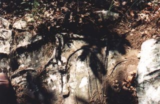 CellsFortressII