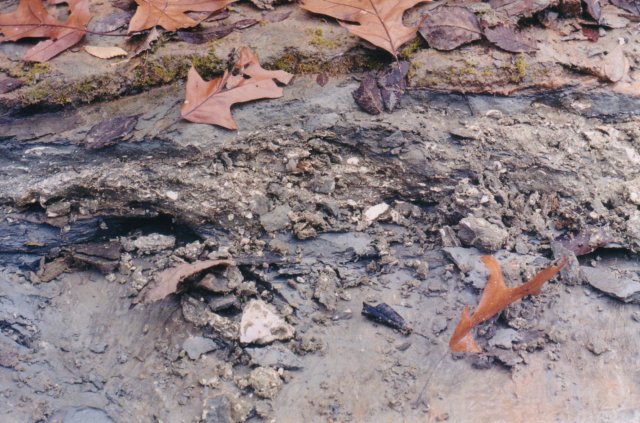 lignitedeposit