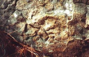 closeupsectionofwall