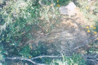 Photo 35