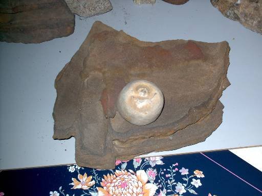 Photo 26