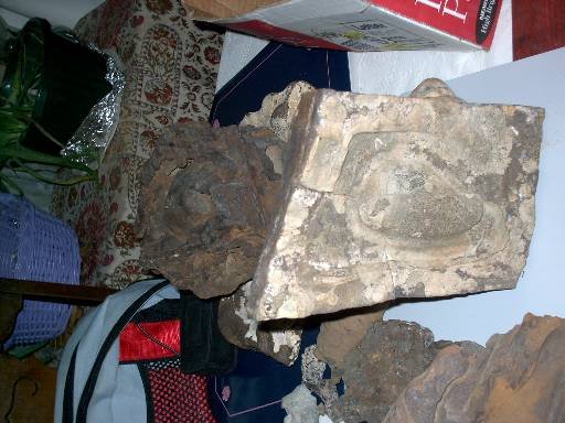 Photo 47