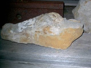 Photo 31