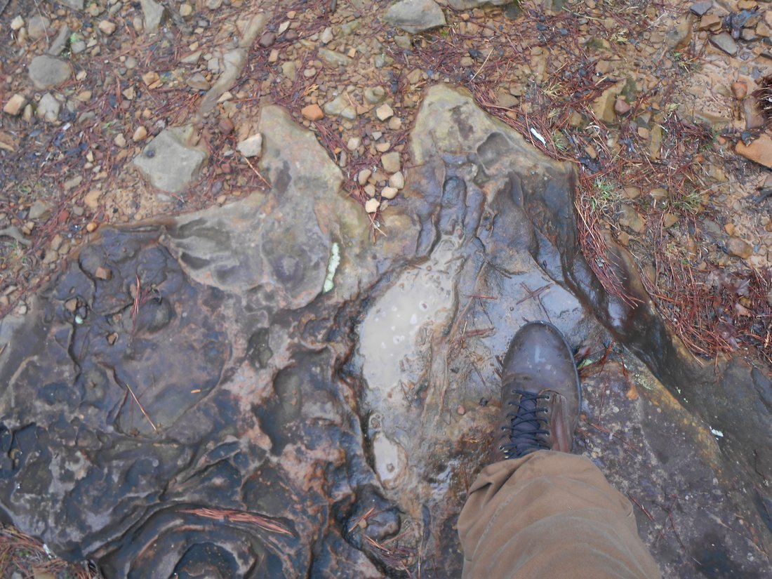 In the footsteps of giants