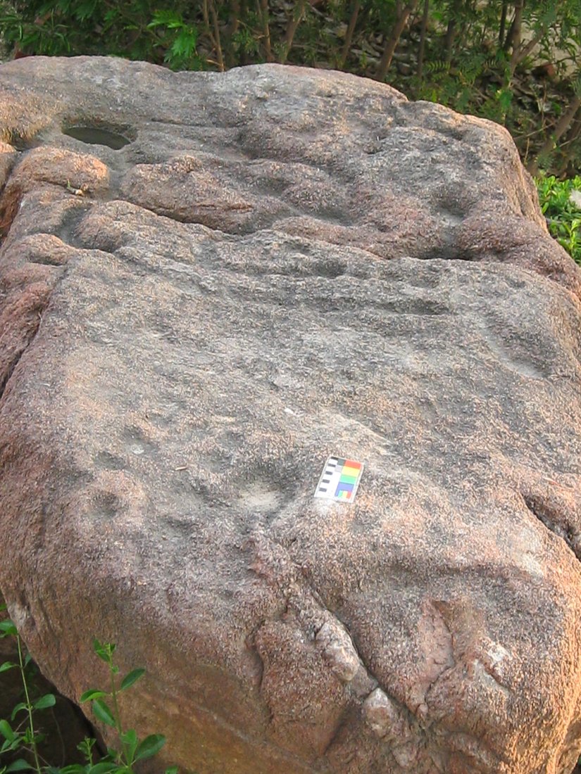 Photo 22