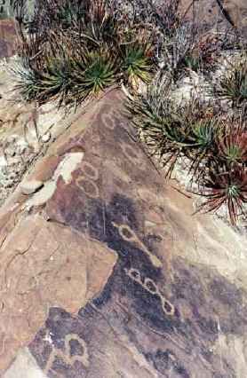 Nuevo Leon Petroglyphs