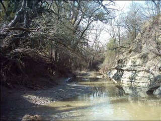 Collin County Outcrop