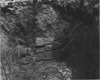 Rockwall, Brooks Ellwood Excavation 1989
