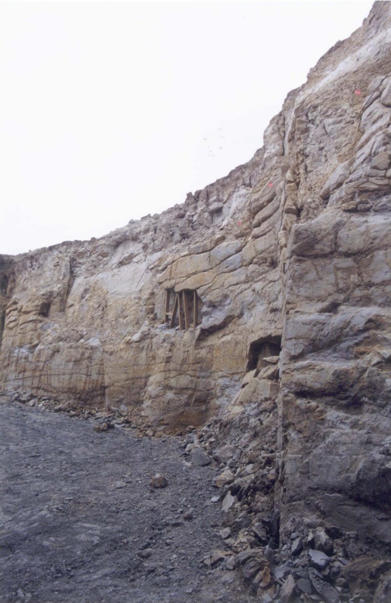 Vertical Wall