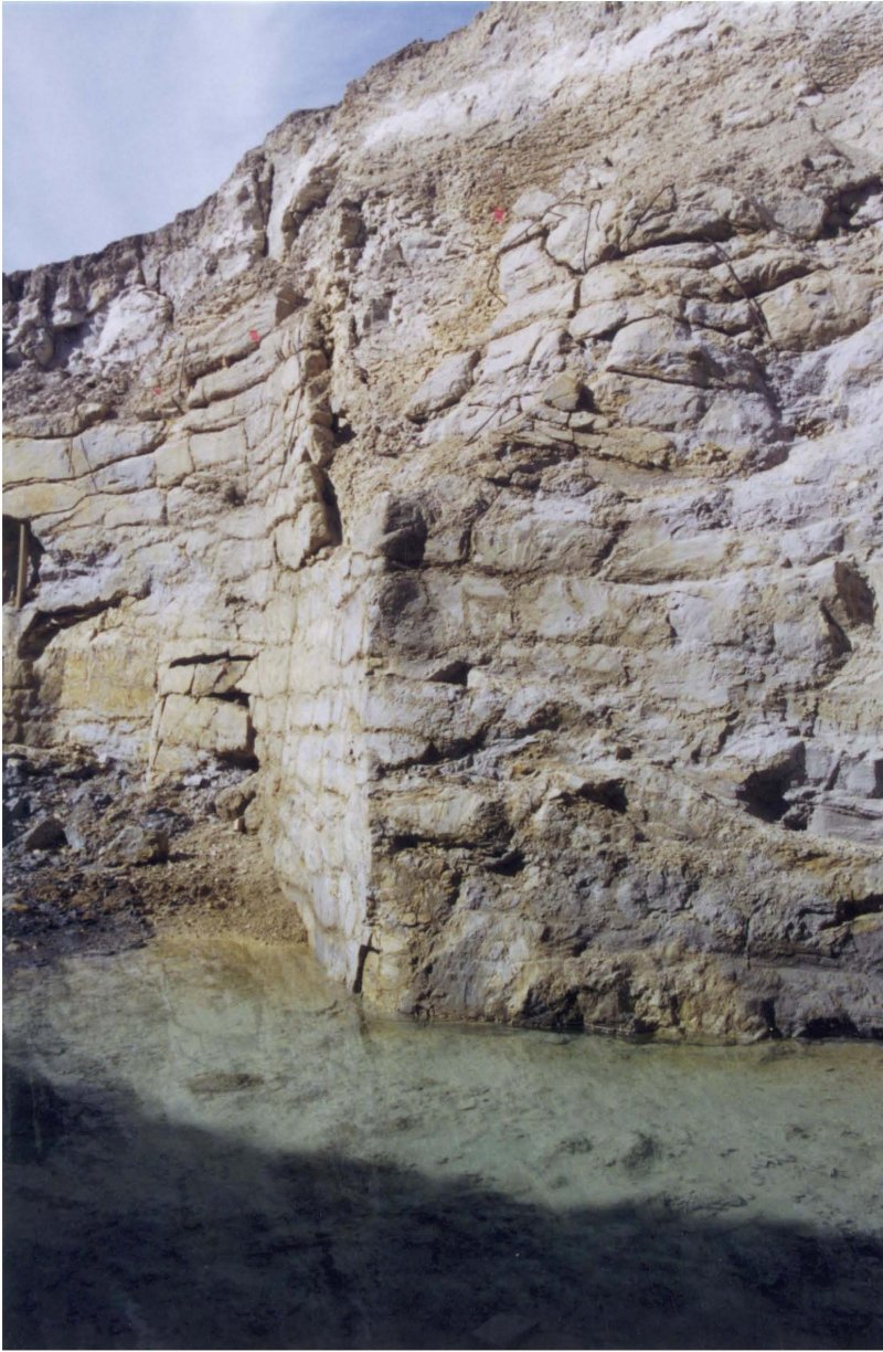 Wall Picture 1