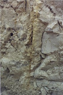 Section of Sand Dike
